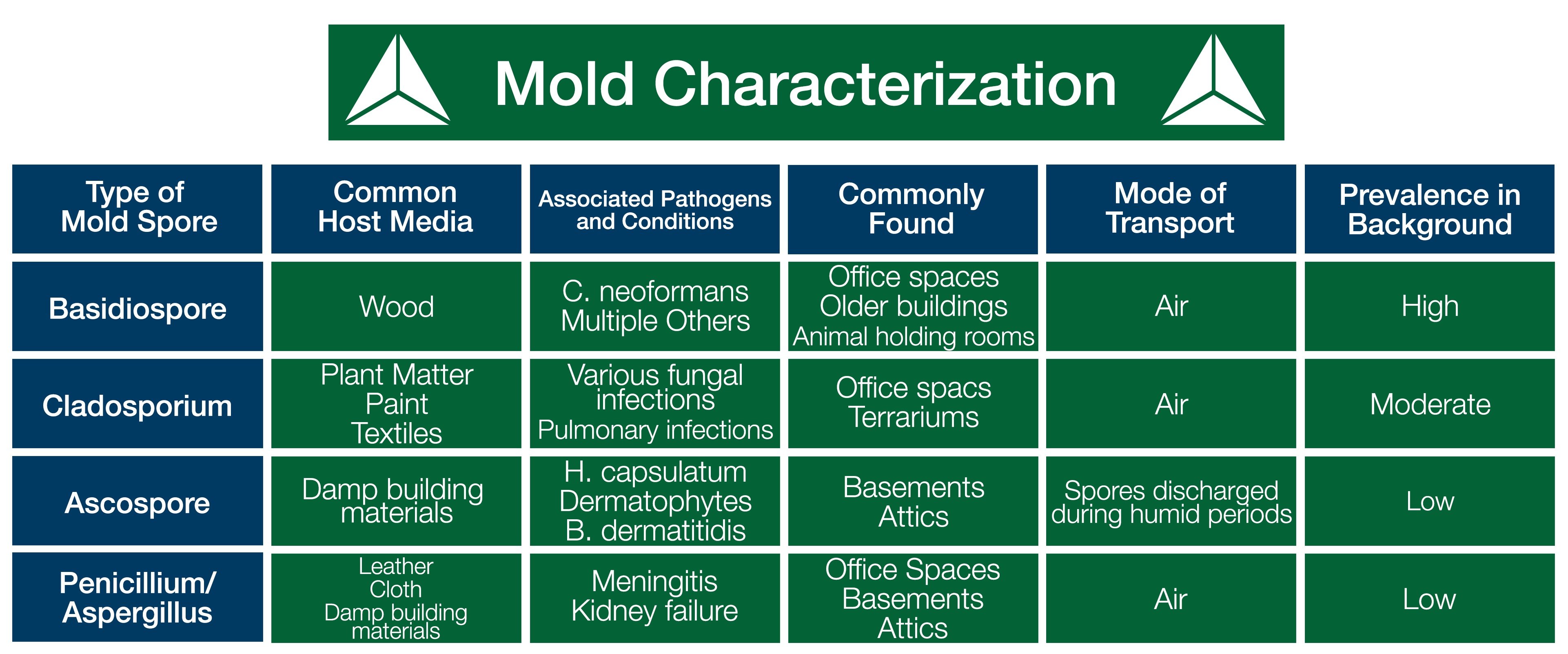 You Might Have Mold 4 Most Common Lab Molds And Where They Live